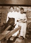 Viola and others